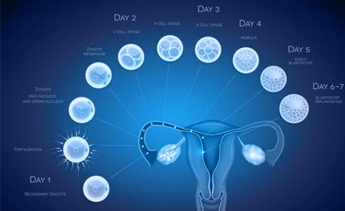 Sri Siddhi Vinayak Test Tube Baby Center