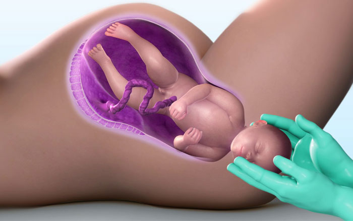 Sri Siddhi Vinayak Test Tube Baby Center